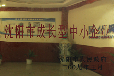 沈阳市成长型中小企业